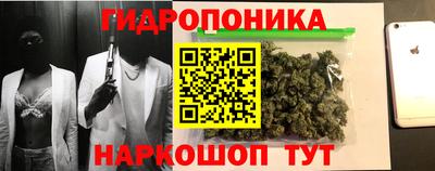 эйфоретик Заволжье