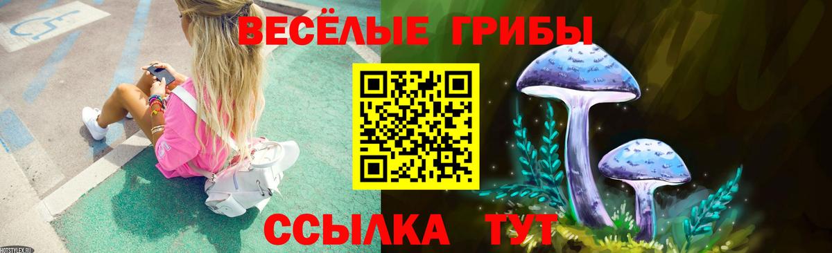 Галлюциногенные грибы Magic Shrooms  Вход с VPN  Карачаевск 